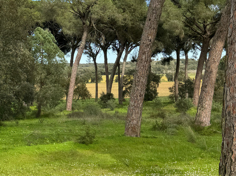 Tapada de Coelheiros-Igrejinha必去景点