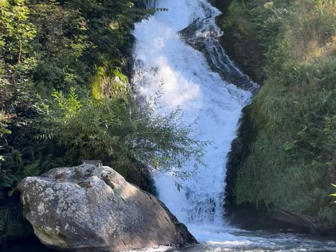 Ayrburn-箭镇必去景点