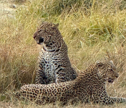 Trevor Tour Safaris Africa-坎帕拉必去景点