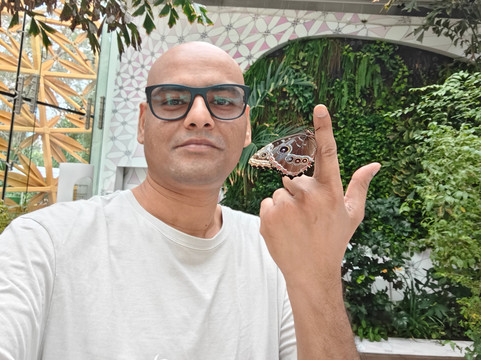 Al Noor Island-沙迦必去景点