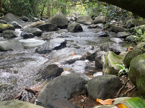 Yuquiyu Treehouses主图