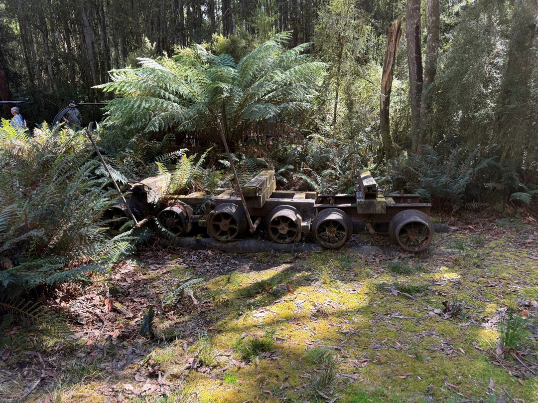Railtrack Riders-Maydena必去景点
