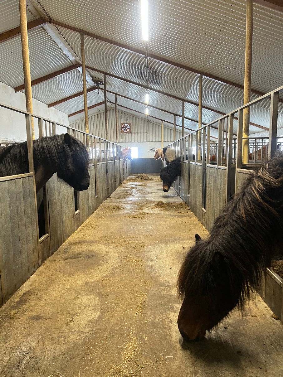 Stóra Ásgeirsá 宾馆-官方