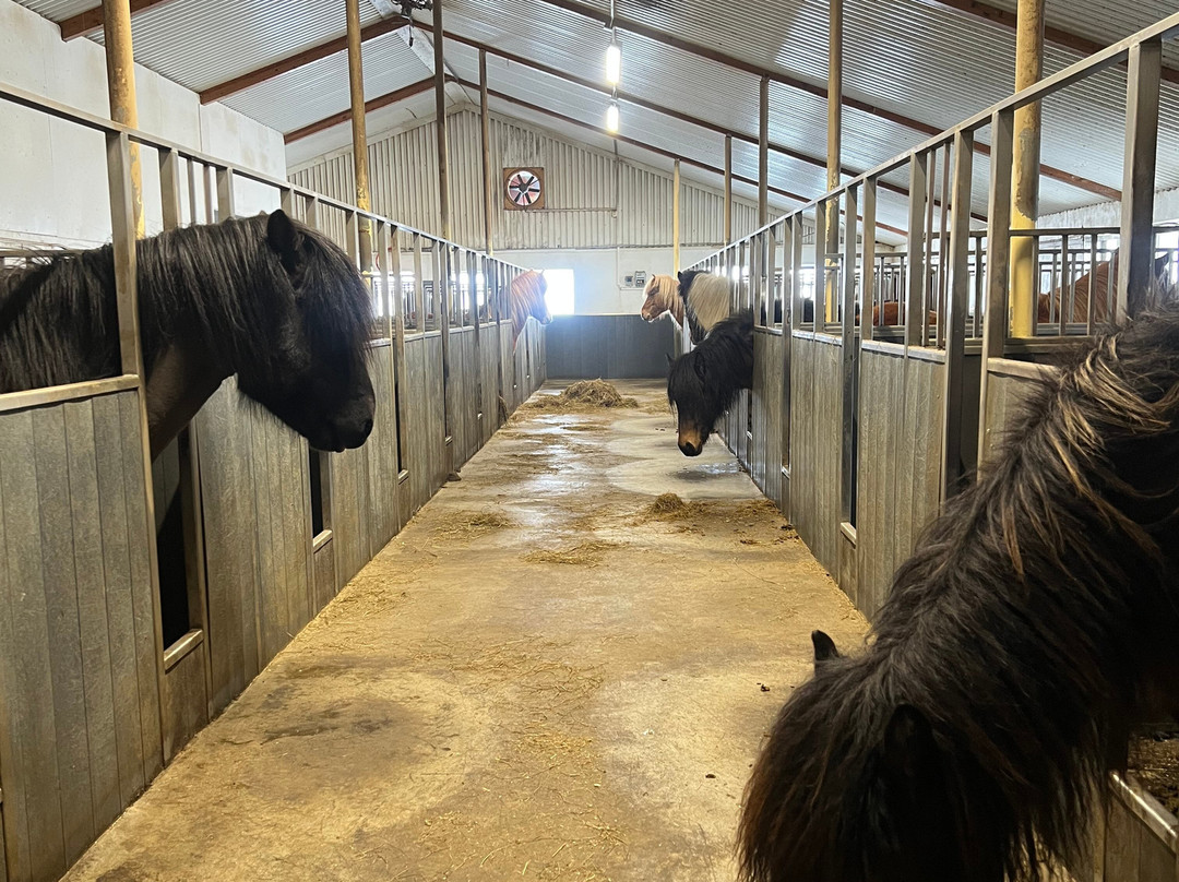 Stóra Ásgeirsá 宾馆主图