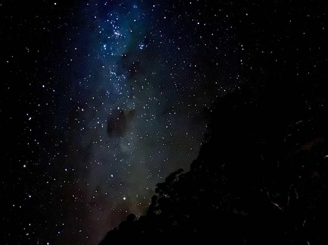 Tassie Tours Tasmania-霍巴特必去景点