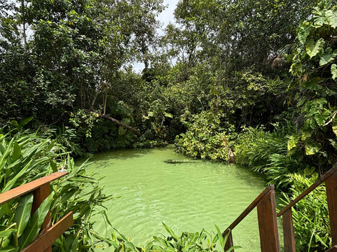 Turismo Jalapão-Palmas必去景点