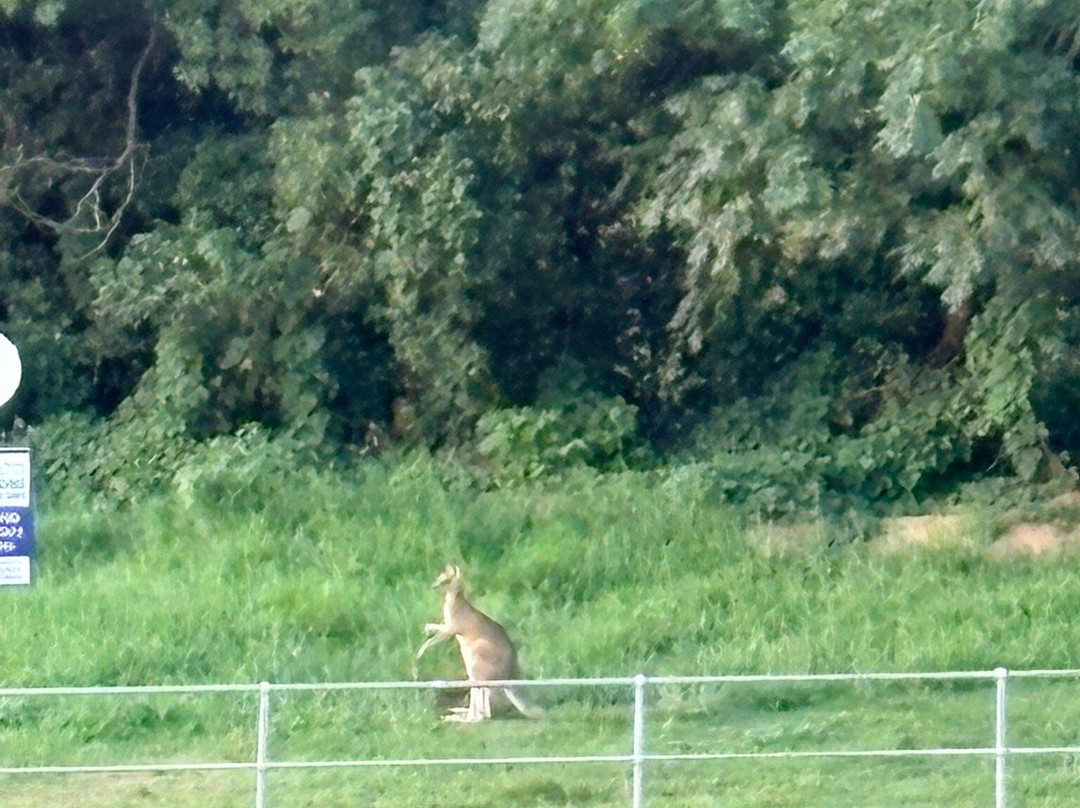 纳尔逊贝置地广场酒店主图