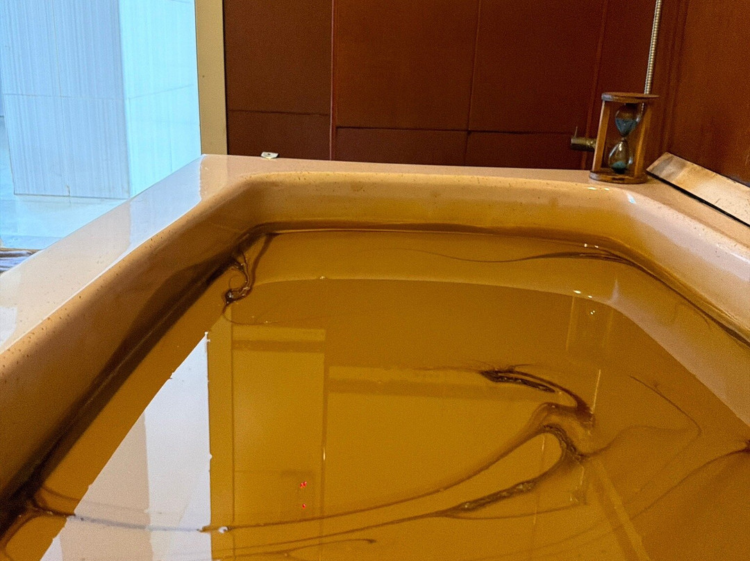 纳夫塔兰梧桐健康酒店主图