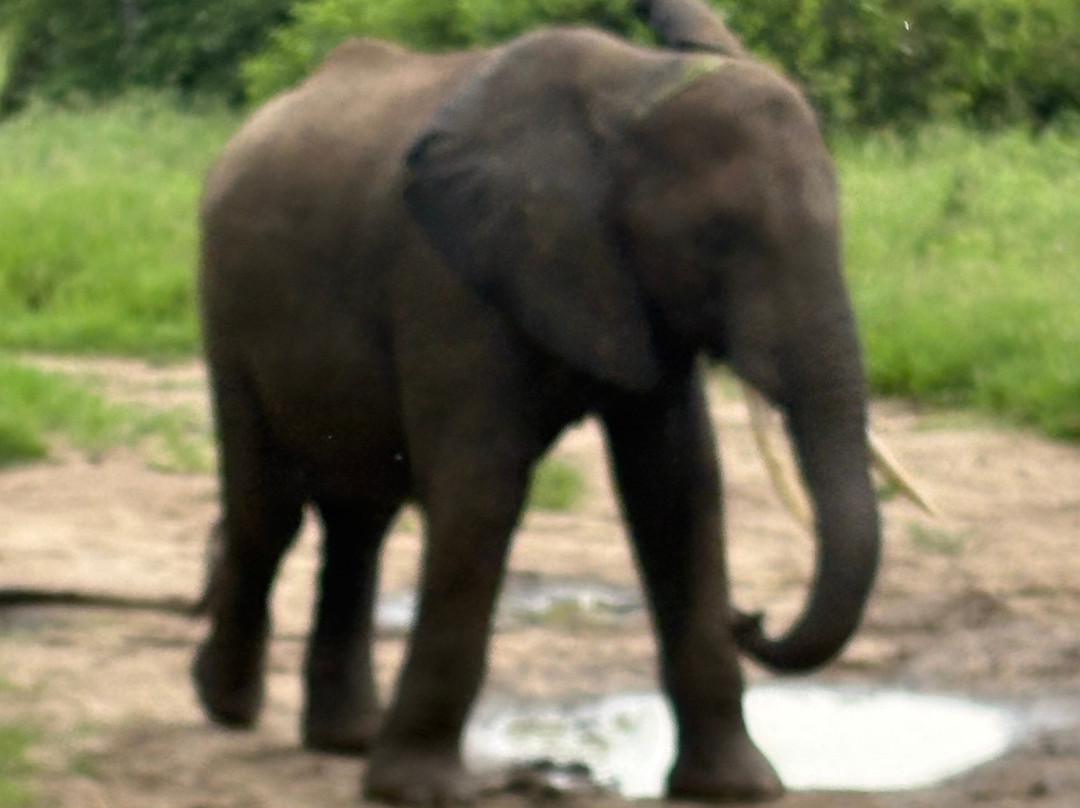 African Traits-阿鲁沙必去景点