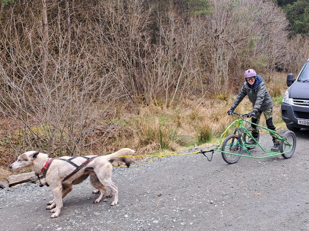 Mynydd Sleddog Adventures-Cerrigydrudion必去景点