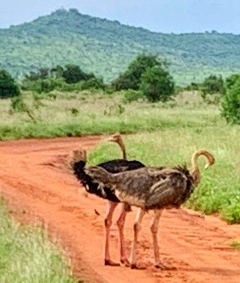 Dida Tours and Safaris-山祖必去景点