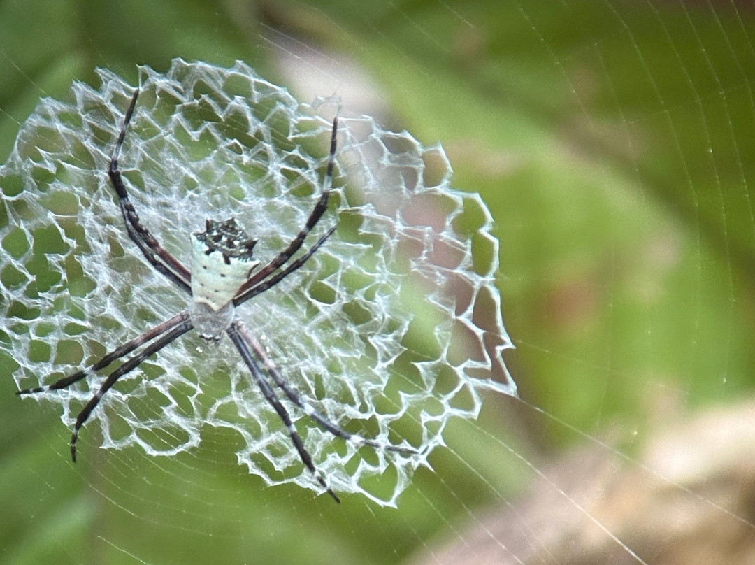 C. R. Referrals Travel-Atenas必去景点