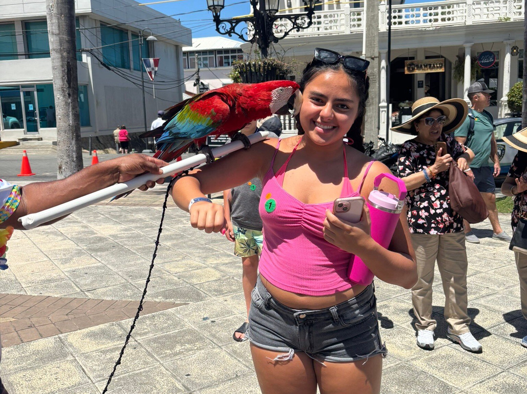 Runners Adventures-普拉塔港必去景点