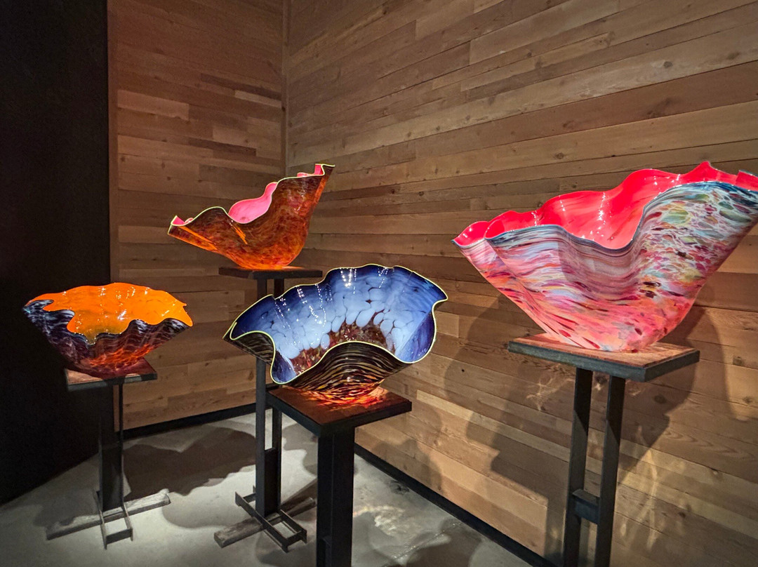 Chihuly Collection-圣彼德斯堡必去景点