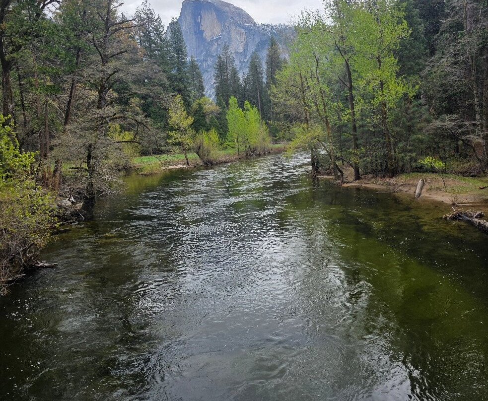 Yosemite 360 Tours-菲什营必去景点