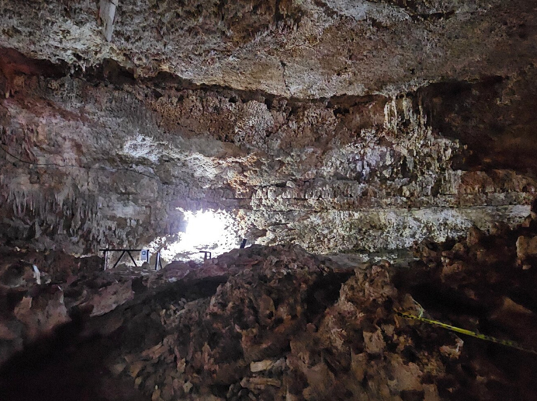 Cenotes Tamcach-Ha & Choo-Ha-Coba必去景点