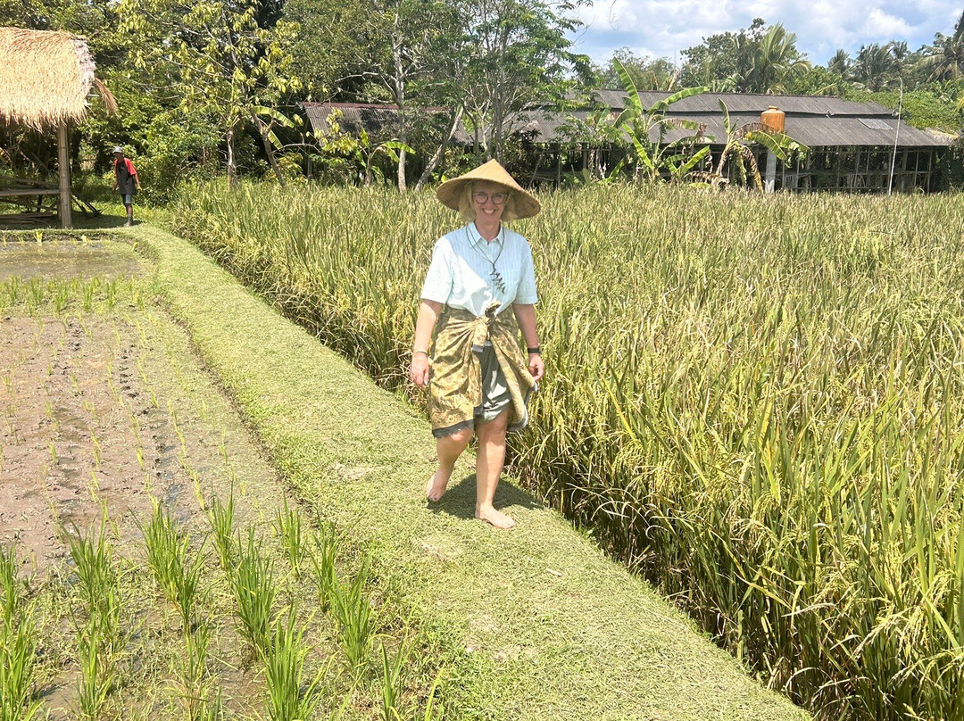 Taman Sari Buwana-达巴南必去景点