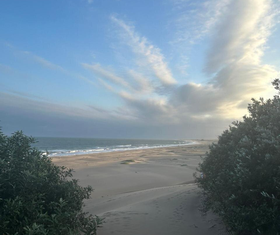 Mtunzini Beach-马图纪尼必去景点
