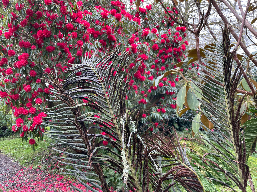 Upton Castle Gardens-Cosheston必去景点