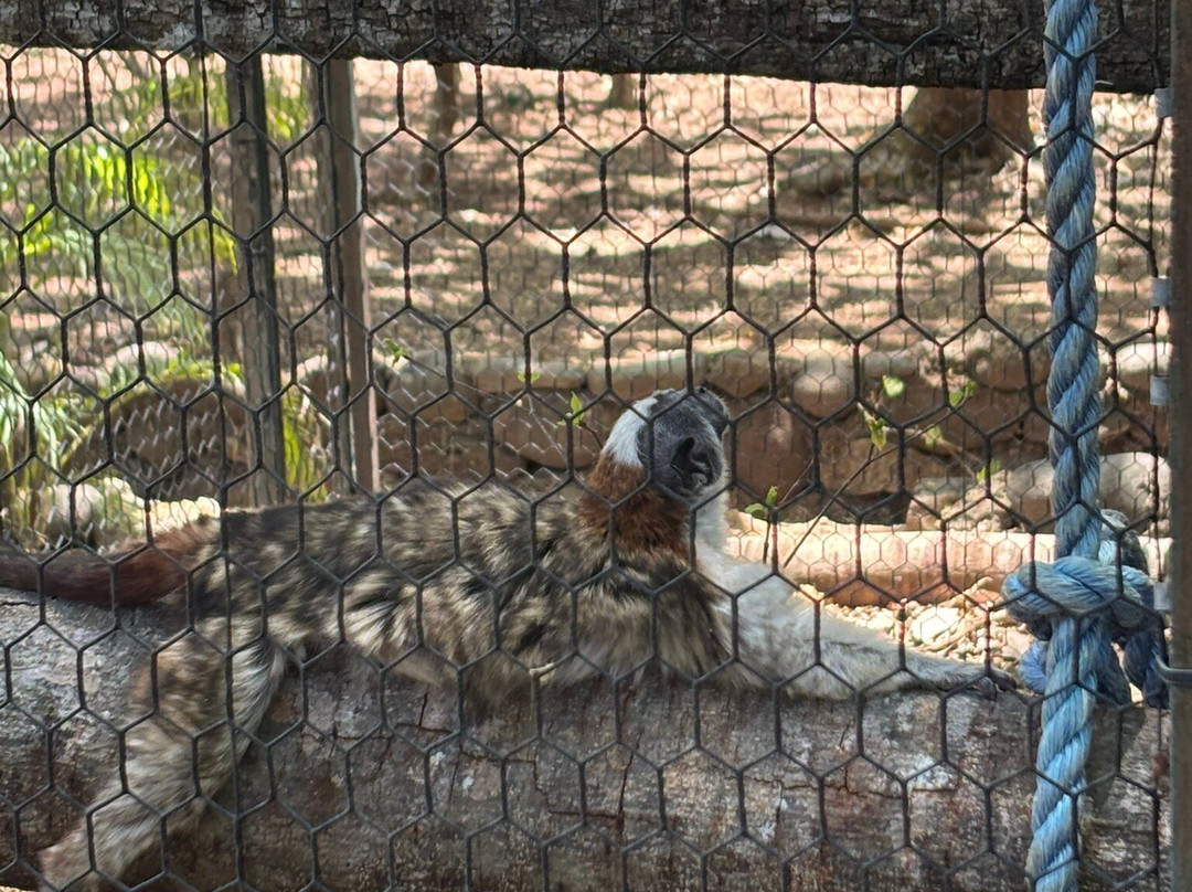 APAMI Wild Life-Portegolpe必去景点