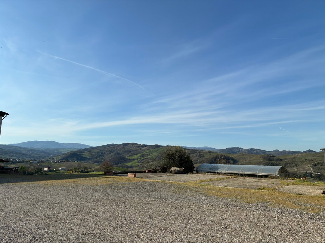 Agriturismo Cella di Montalto主图