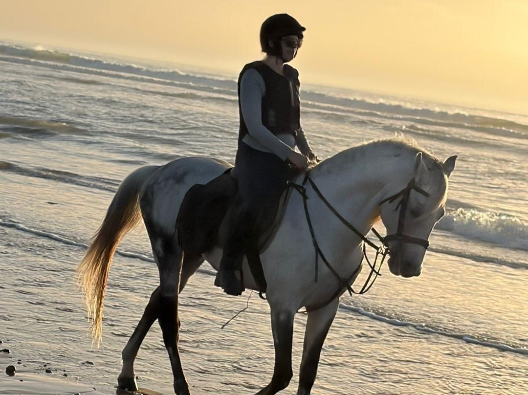 Essaouira Dreamers-索维拉必去景点