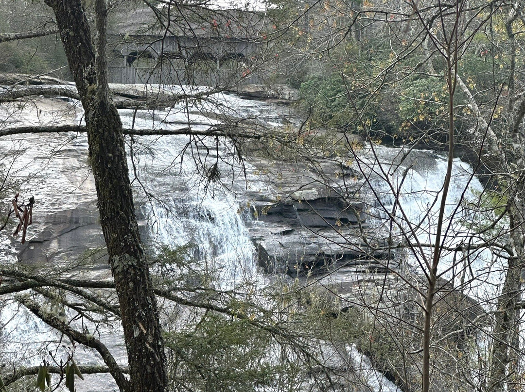 DuPont State Recreational Forest-Cedar Mountain必去景点