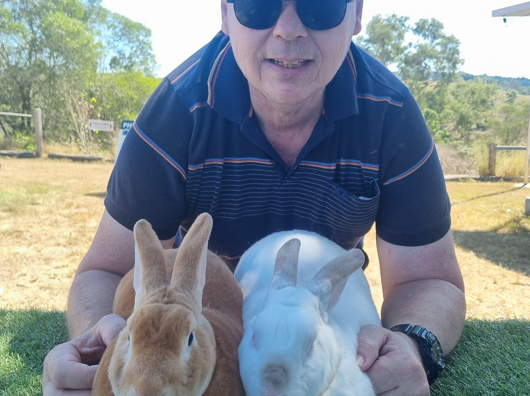 The Llama Farm-伊普斯威奇必去景点