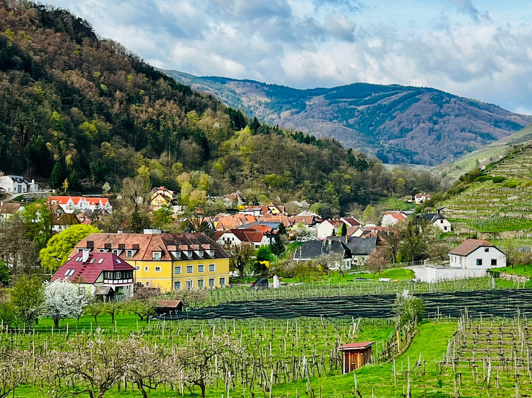 Boutiquehotel WEINSPITZ Wachau - ADULTS ONLY主图