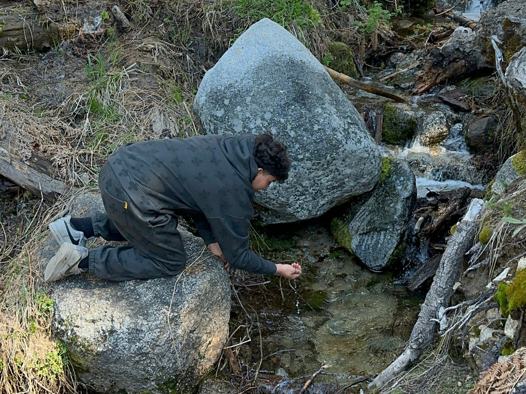 Tokopah Falls-Three Rivers必去景点