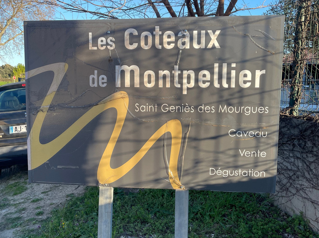 La Cave des Coteaux de Montpellier