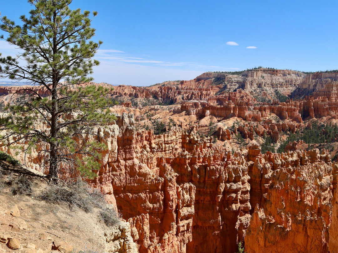 布赖斯峡谷-布莱斯峡谷国家公园必去景点