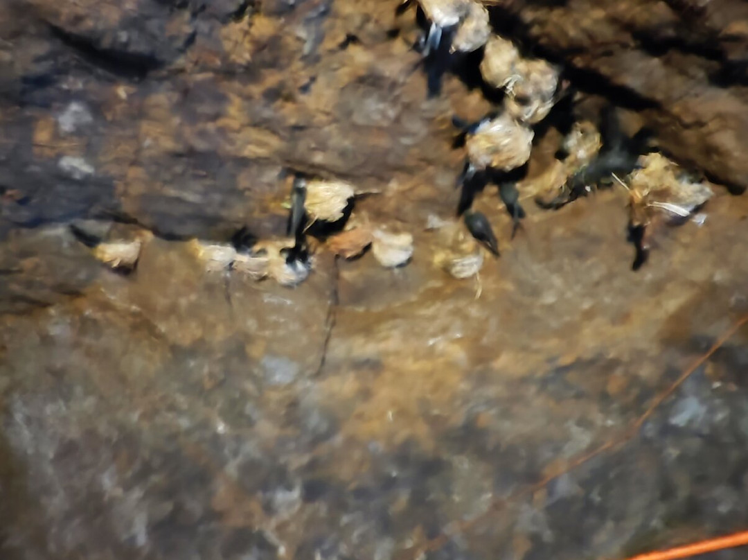 Japanese Tunnel-达沃必去景点