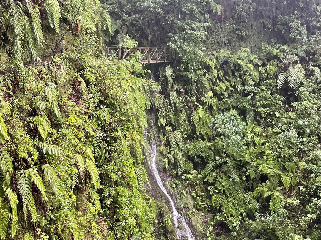 Levada dos Cedros-莫尼什港必去景点