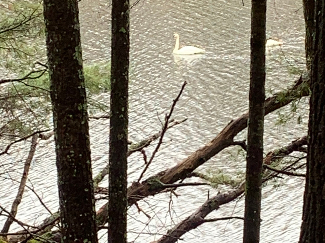 Canoe Bay主图