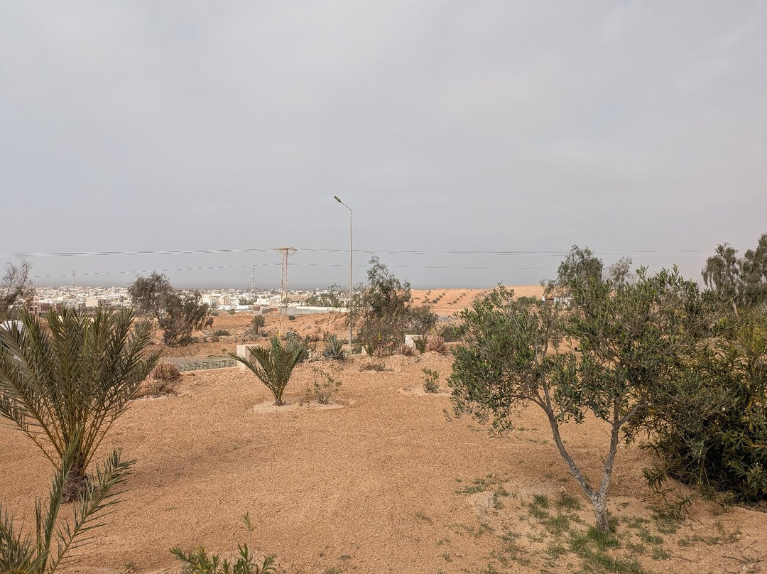 吉尔巴岛棕榈海滩俱乐部主图