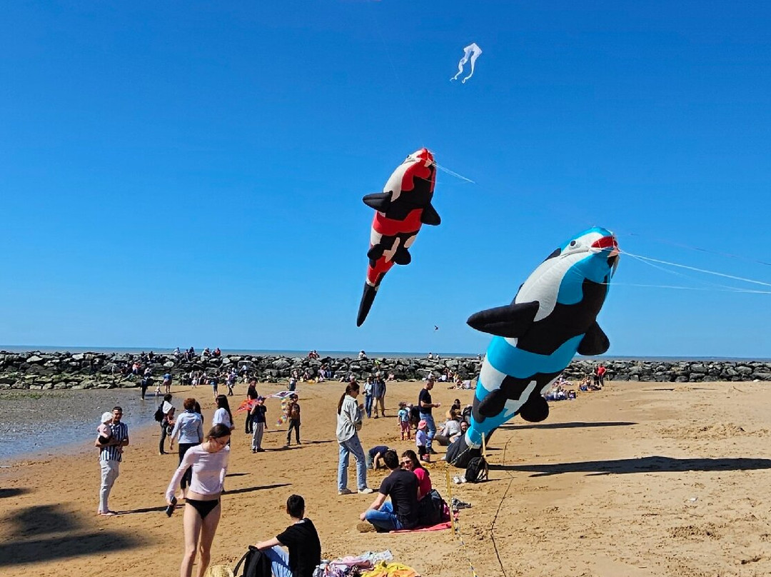 Plage de Châtelaillon-Chatelaillon-Plage必去景点