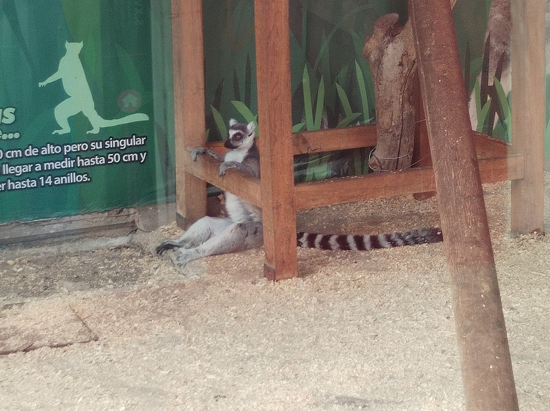 Acuario Michin Guadalajara-瓜达拉哈拉必去景点