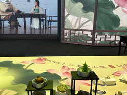 Gallery 2