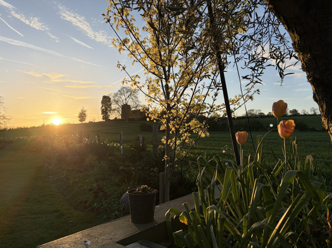 唐纳姆霍尔酒店主图
