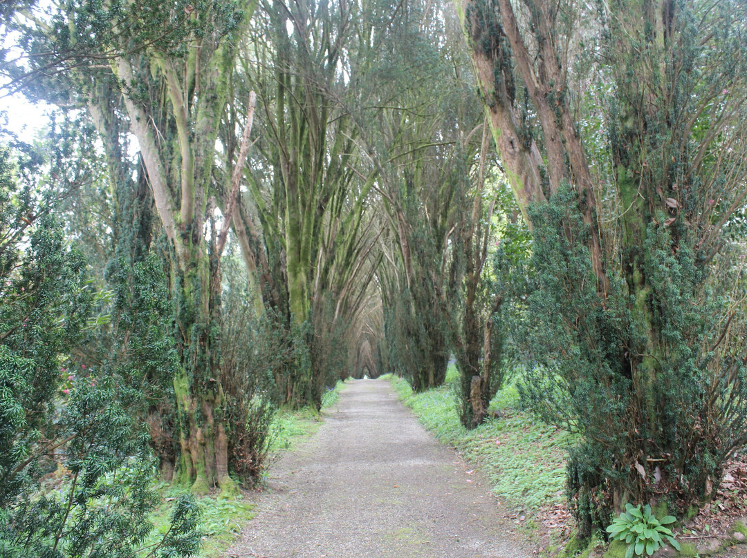 Tregrehan Garden-Par必去景点