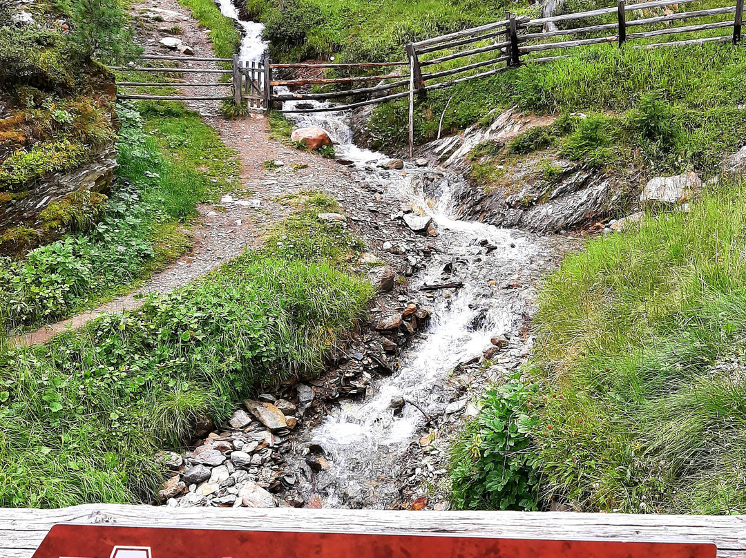 Gola del Rio Plima-Martello必去景点