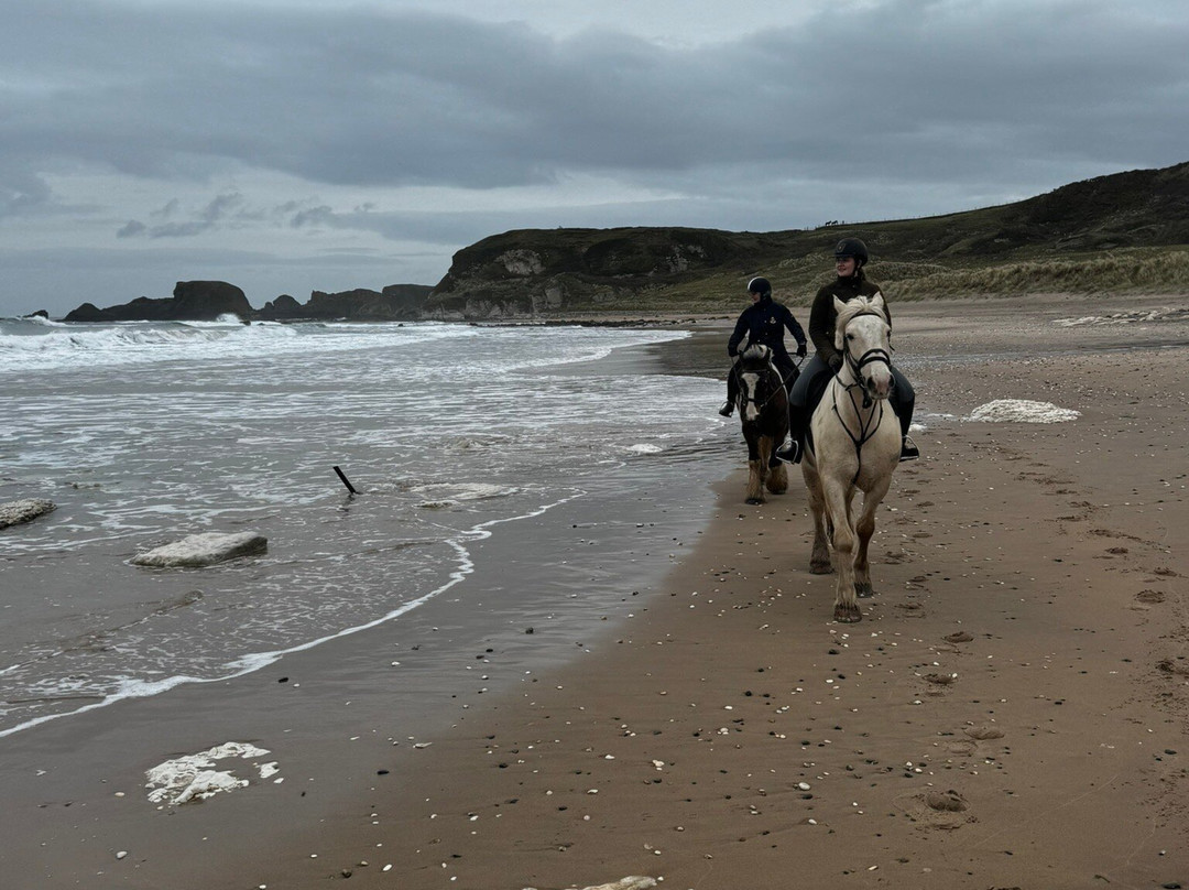 Bespoke Equestrian Ireland-都柏林必去景点