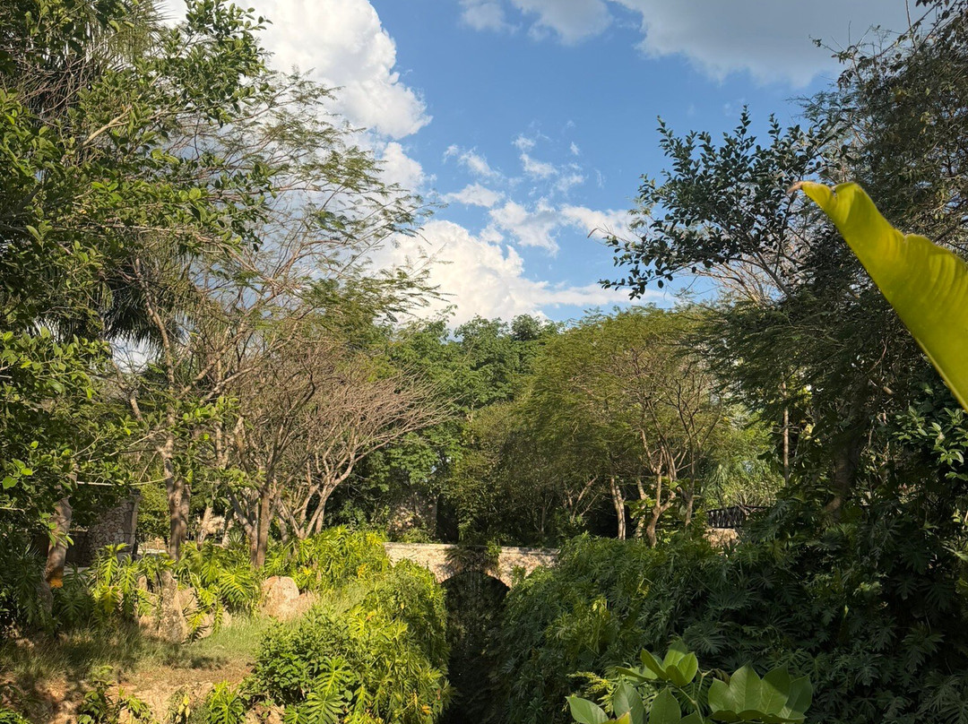 Cenotes Hacienda Mucuyche-Mucuyche必去景点