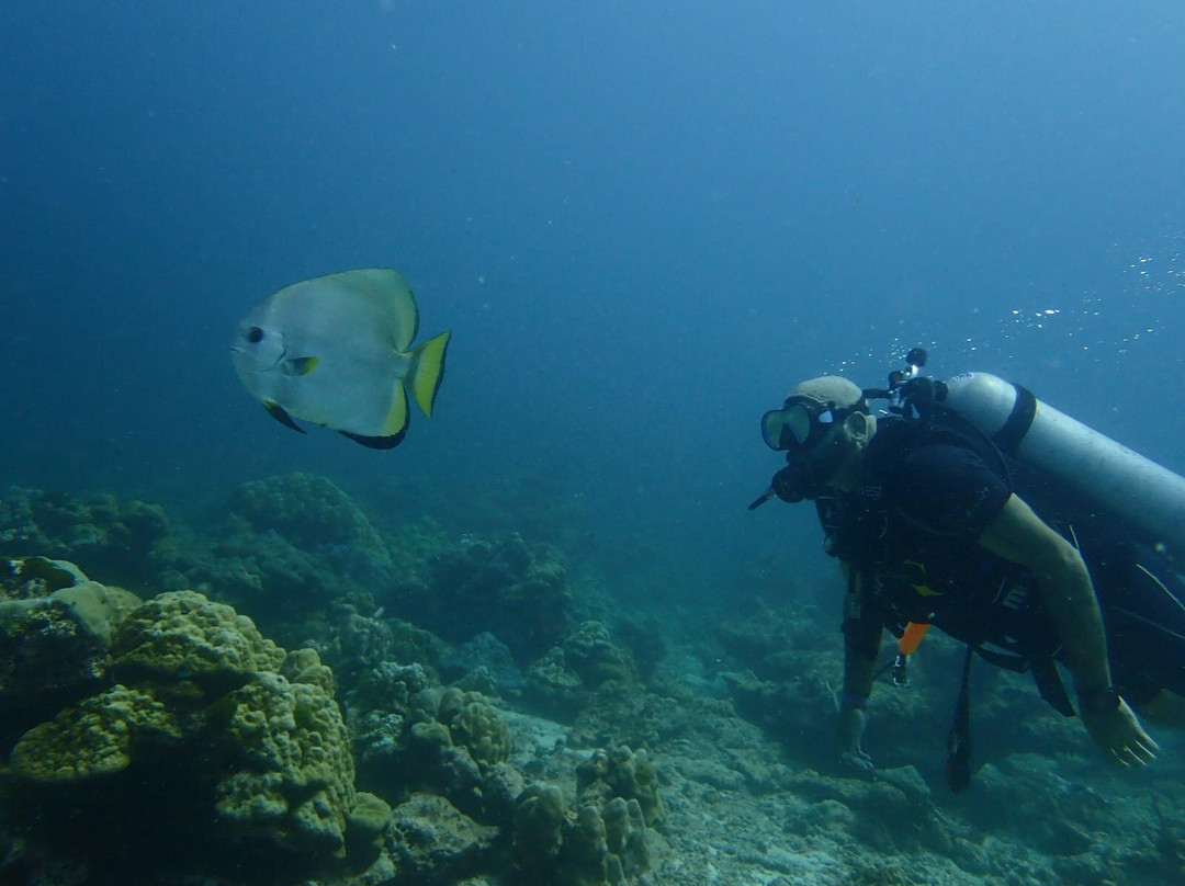 Buceo Tailandia-拉克山必去景点