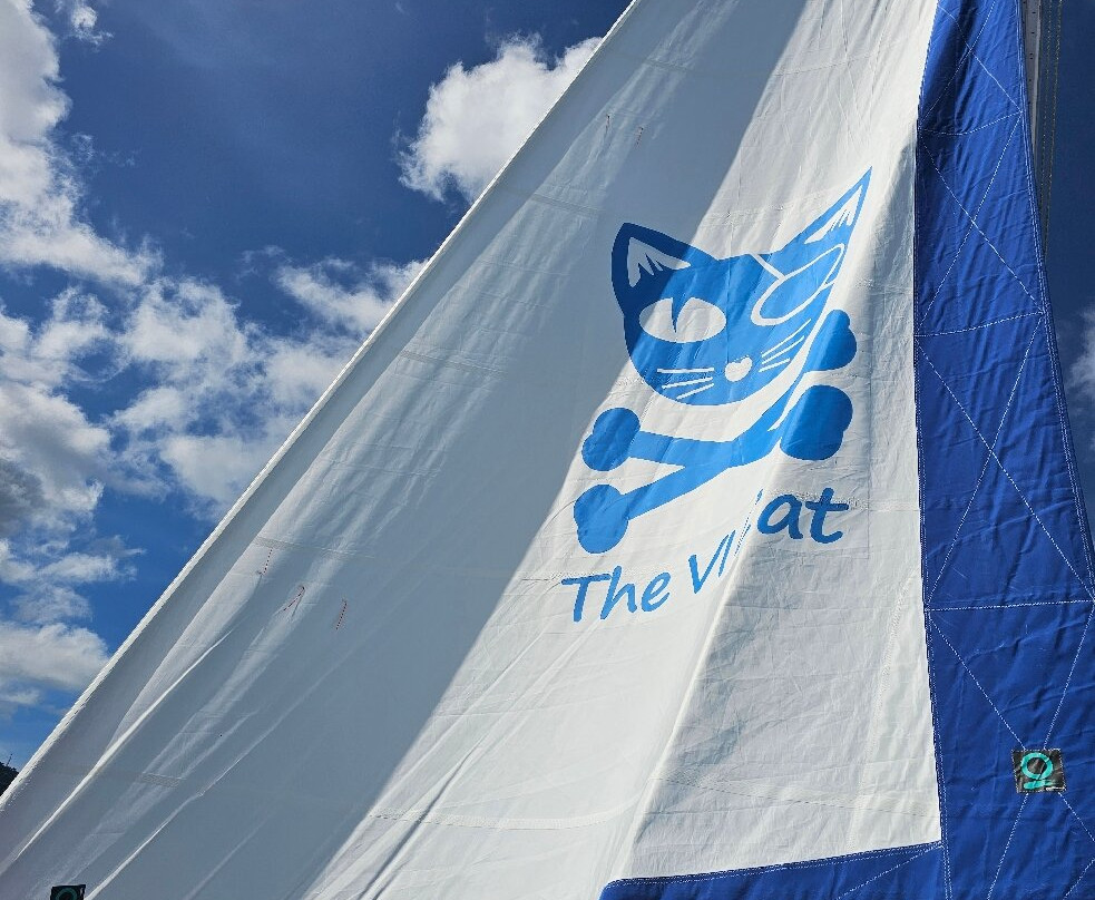 The VI Cat-Estate Thomas必去景点