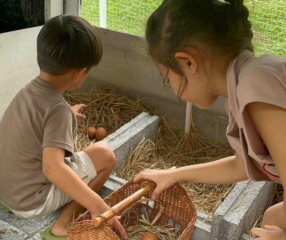 Into the Woods: Kids' Club and Natural Playspace-童颂必去景点