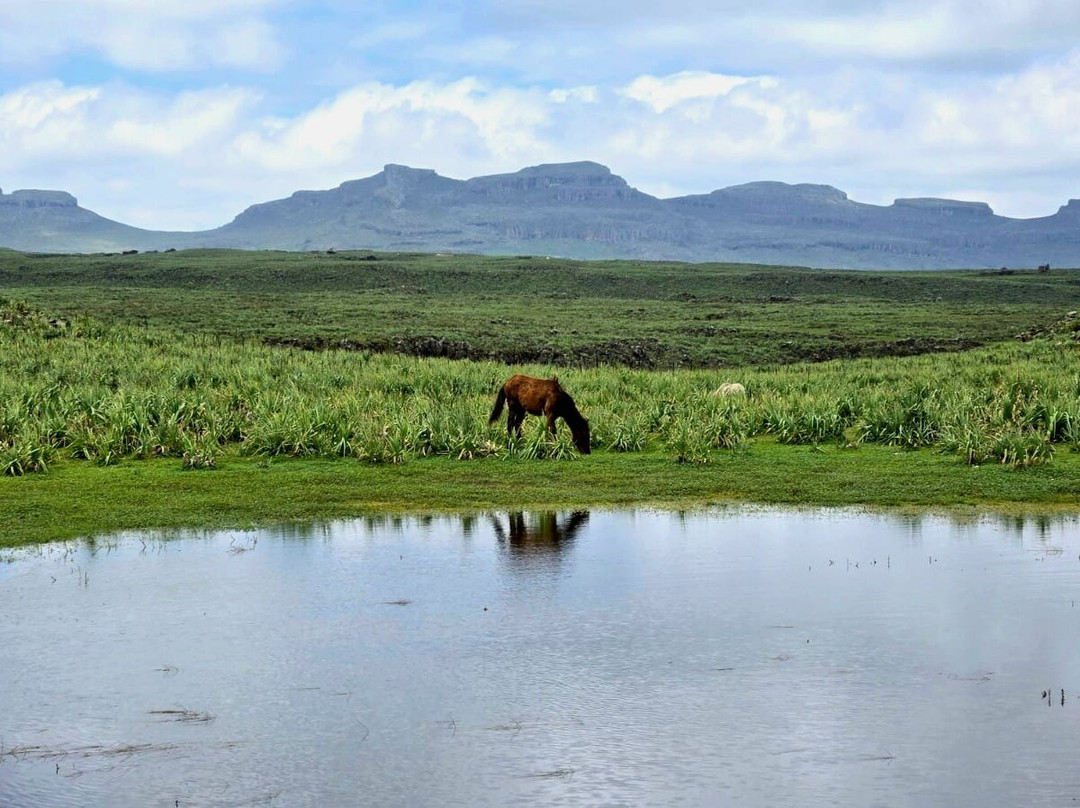 Bale Mountains Brilliant Tours-Goba必去景点