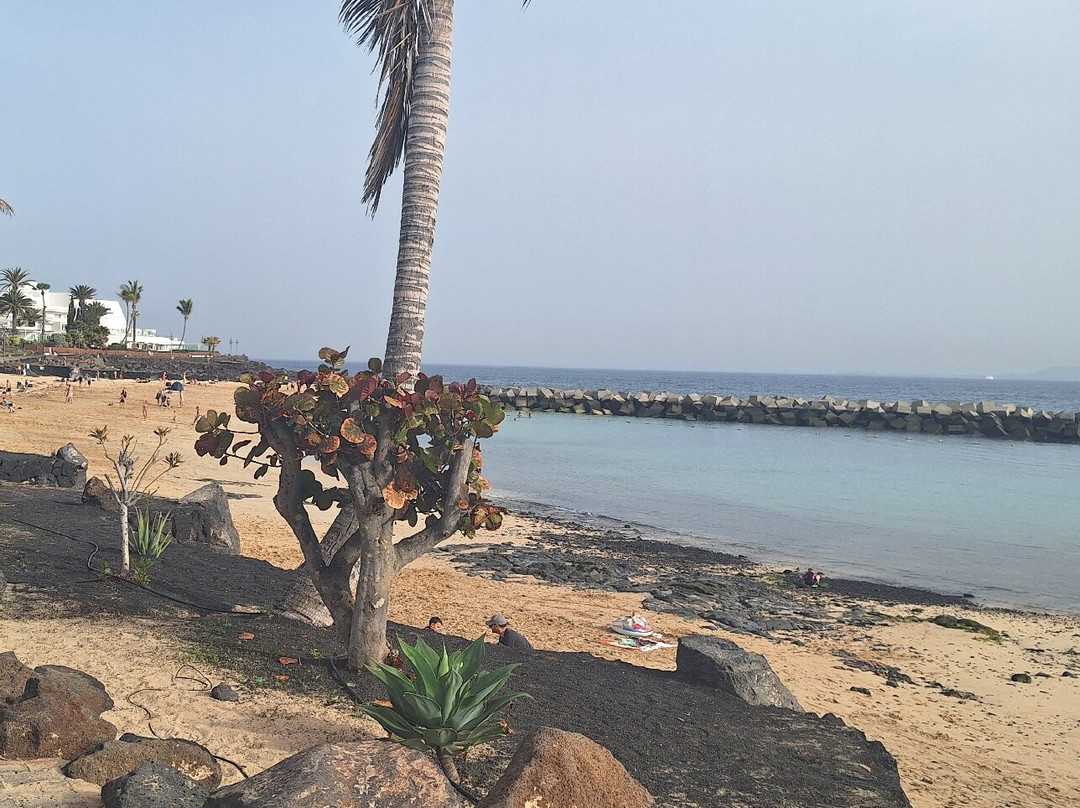 Playa Flamingo-布兰卡滩必去景点