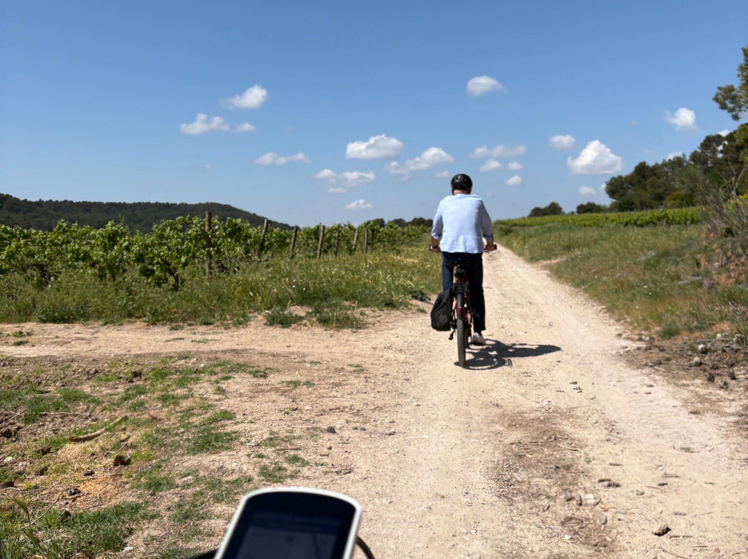 Easy Vélo Carcassonne-Villegly必去景点